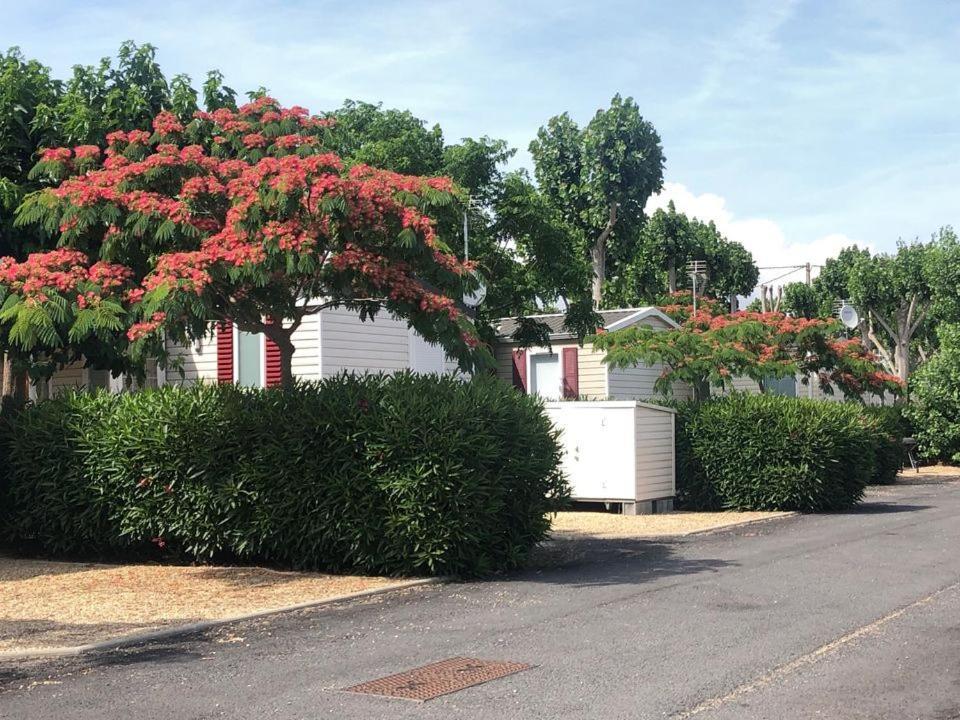 Charmant Mobil Home 2 Chambres Valras Plage Exterior photo